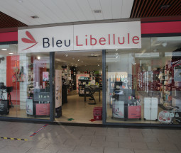 Bleu Libellule